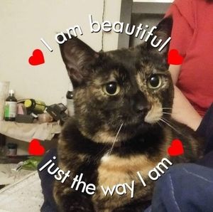 Meet your Posher, Janelle